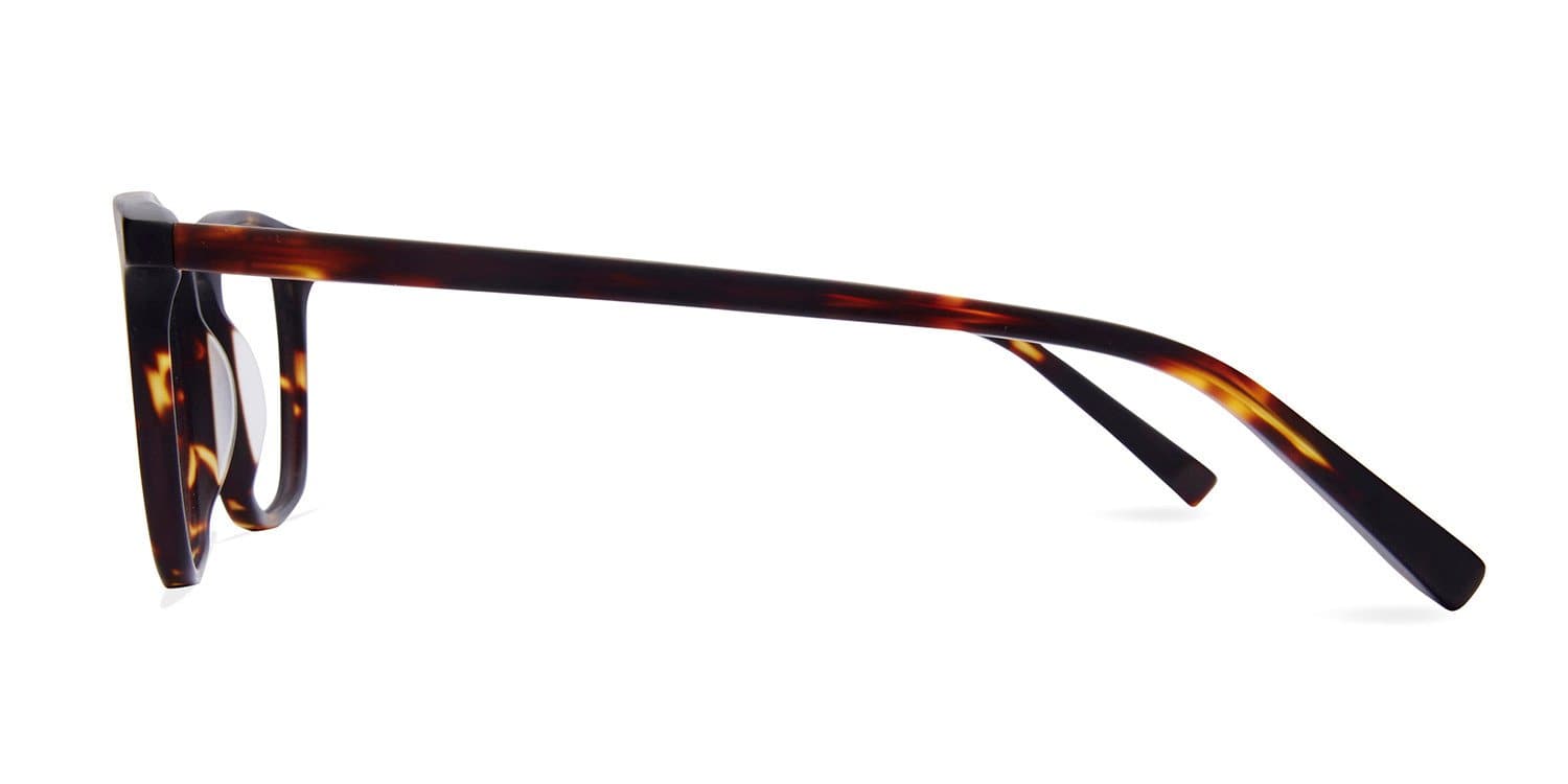 pre order - Clark / Matte Havana - Baxter Blue